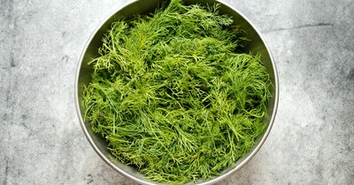 Как хранить укроп