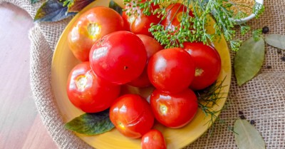 Красные помидоры квашеные в кастрюле