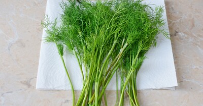 Как освежить зелень