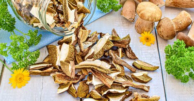 Как хранить сушеные грибы