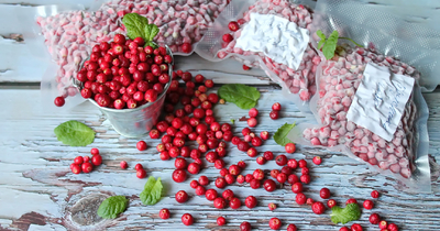 Как заморозить ягоды