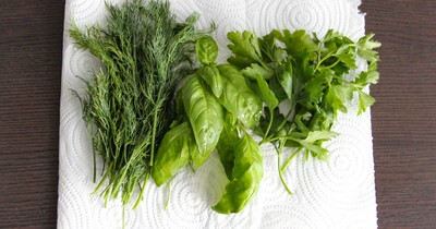 Как сохранить зелень свежей