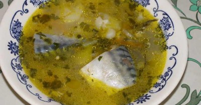 Суп из свежей скумбрии в горшочке