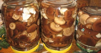 Как солить горькушки