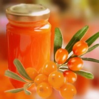 Облепиха на зиму Облепиха на зиму