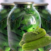 Консервированные малосольные огурцы с водкой на зиму