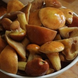 Вкусные маринованные маслята