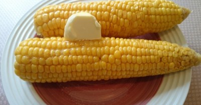 Как варить кукурузу в початках с солью