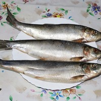 Салат из салаки на зиму картинки Салат из салаки на зиму картинки