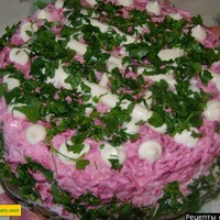 Салат свекла картофель селедка
