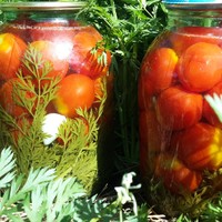 Маринованные помидоры с морковной ботвой, рецепт на 1 л банку картинки Маринованные помидоры с морковной ботвой, рецепт на 1 л банку картинки