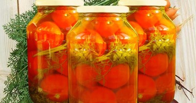 Помидоры с ботвой без стерилизации