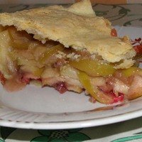 Клюквенный пирог с клюквой и яблоками