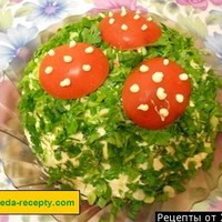 ����� ������ ������ � ������������