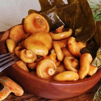 Рыжики на зиму Рыжики на зиму