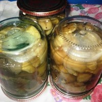 Белые грибы маринованные на зиму