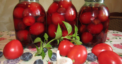 Маринованные помидоры со сливами и базиликом на зиму