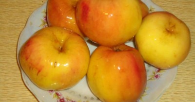 Квашеные яблоки с медом быстро и вкусно