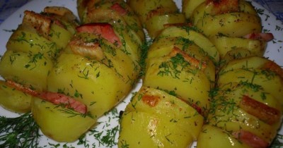 Картошка гармошка в духовке бекон и зелень