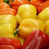 Перец моченый