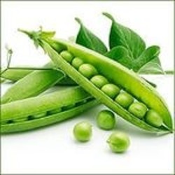 Чтобы гороховые стручки оставались зелеными... Чтобы гороховые стручки оставались зелеными...