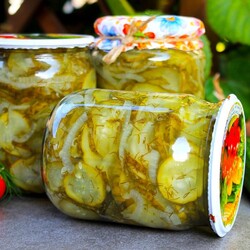 Огурцы с луком на зиму Огурцы с луком на зиму