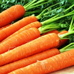 Блюда с морковью