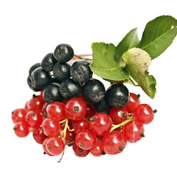 Варенье из рябины Варенье из рябины