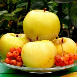 Моченые яблоки Моченые яблоки