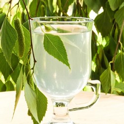 Квас из березового сока Квас из березового сока