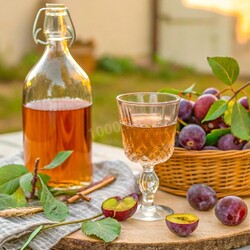 Вино из слив Вино из слив