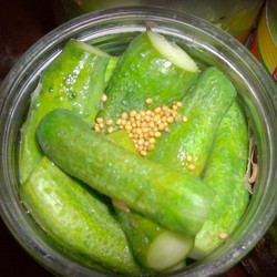 Огурцы с горчицей Огурцы с горчицей