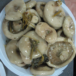 Засолка груздей на зиму Засолка груздей на зиму