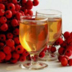 Настойка из рябины Настойка из рябины