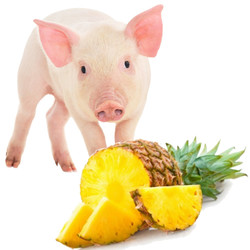 Свинина с ананасом Свинина с ананасом