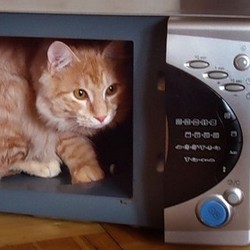 В микроволновке В микроволновке