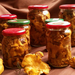 Лисички на зиму Лисички на зиму