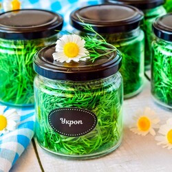 Укроп на зиму Укроп на зиму