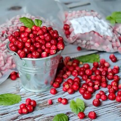 Брусника на зиму Брусника на зиму