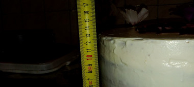 Диаметр: 25см
Высота: 13см
Масса: 4.735кг Диаметр: 25см
Высота: 13см
Масса: 4.735кг