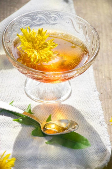 Мед из одуванчиков Мед из одуванчиков