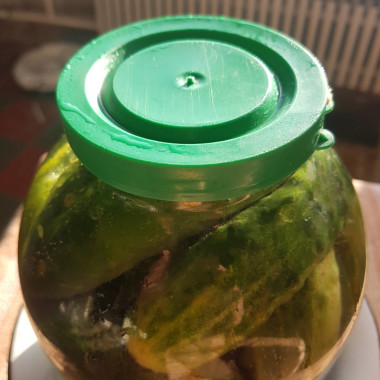 С полностью закрытой крышкой. С полностью закрытой крышкой.