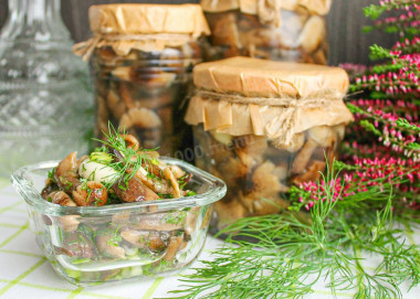 Маринованные опята в банках на зиму Маринованные опята в банках на зиму