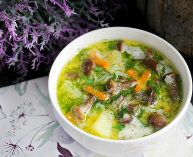 Суп с плавленым сыром и лесными опятами