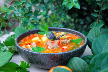 Густой суп из домашней утки с овощами на костре
