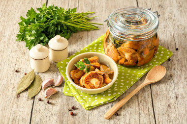 Маринованные рыжики горячим способом на зиму Маринованные рыжики горячим способом на зиму
