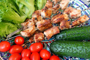 Шашлык в электрошашлычнице Шашлык в электрошашлычнице