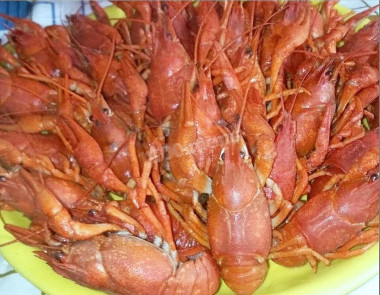 Раки вареные Раки вареные