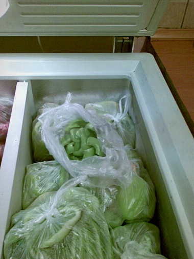 МОЯ ЕДА МОЯ ЕДА