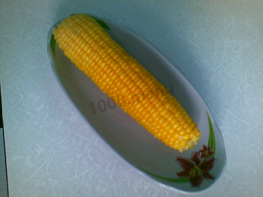 МОЯ ЕДА МОЯ ЕДА